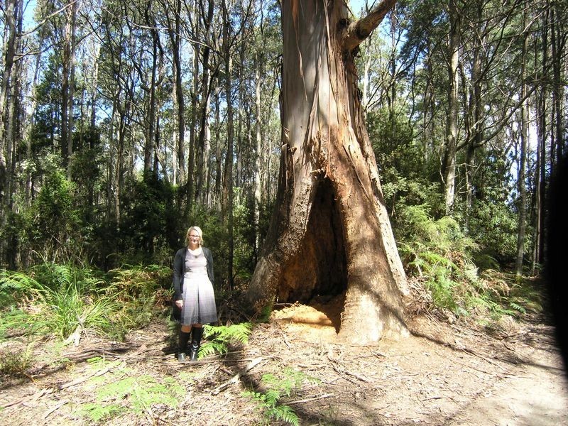 Lot 1 Betts Road, Neika TAS 7054