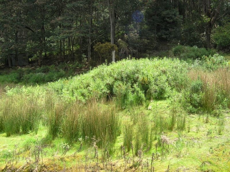 50 Millers Road, Middleton TAS 7163