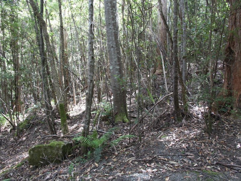 865 Huon Road, Fern Tree TAS 7054