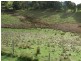 4 Culbara Road, Electrona TAS 7054