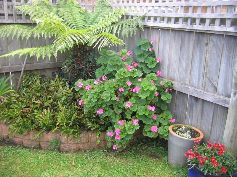 4/5 Whitewater Crescent, Kingston TAS 7050