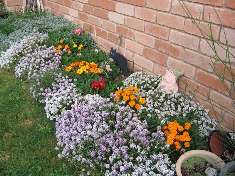 4/5 Whitewater Crescent, Kingston TAS 7050