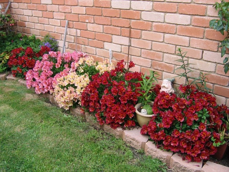 4/5 Whitewater Crescent, Kingston TAS 7050