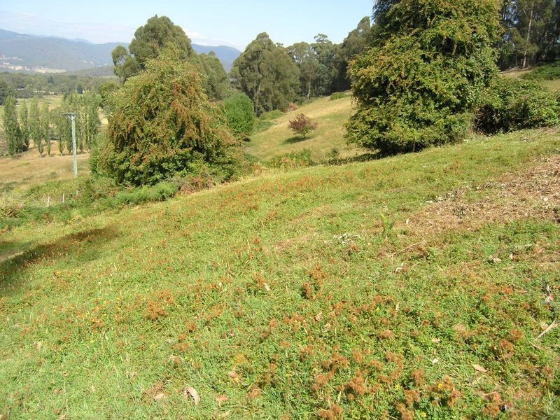 1/1360 Huon Road, Neika TAS 7054