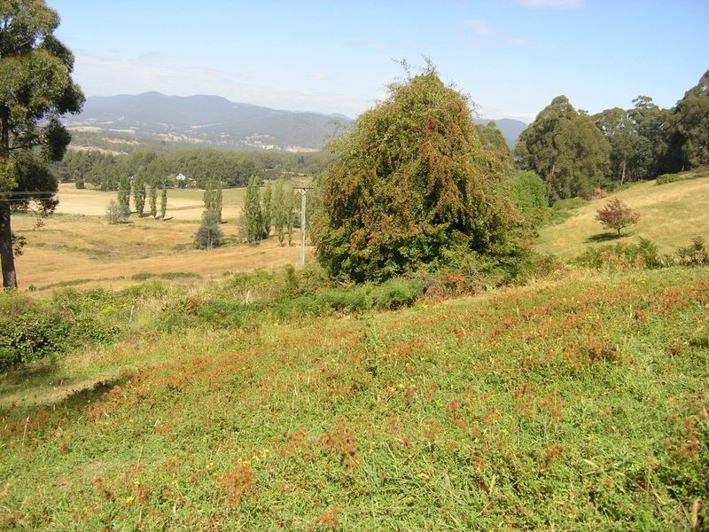 1/1360 Huon Road, Neika TAS 7054