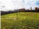 20 Kingfisher Street, Kingston TAS 7050