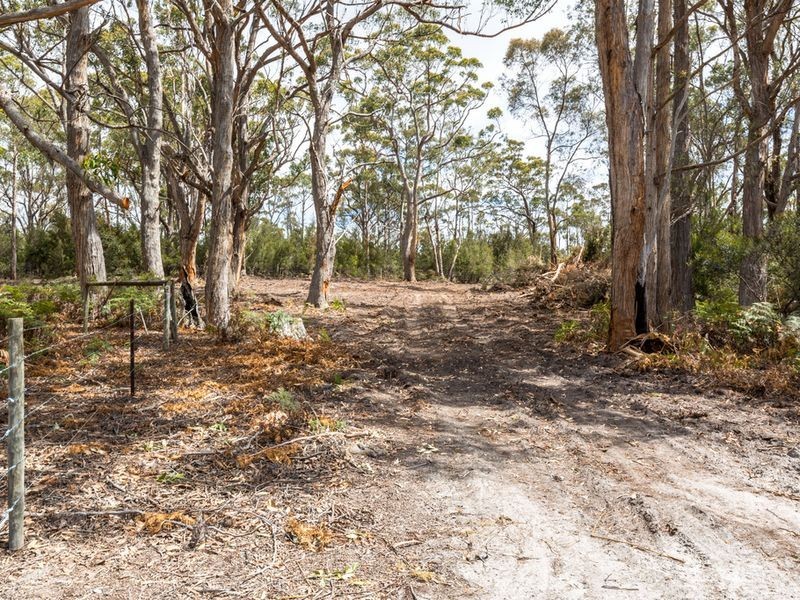 Poverty Point Cygnet Coast Road, Lymington TAS 7109