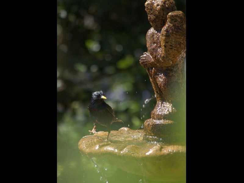 1 Campbell Street, Newstead TAS 7250