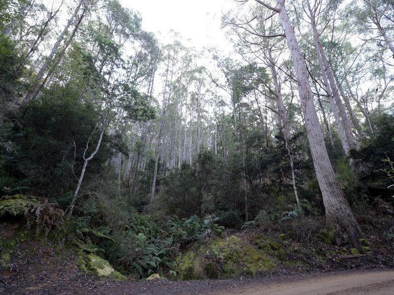 Lot 1 Lords Road, Pelverata TAS 7150