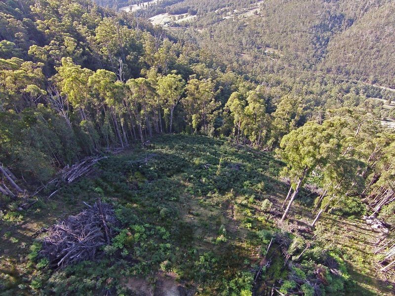 Lot 1 Lords Road, Pelverata TAS 7150