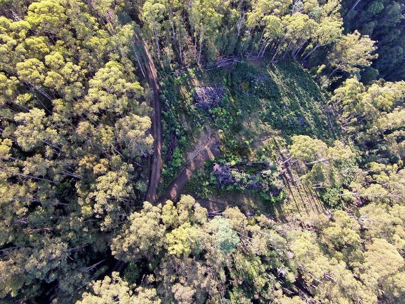 Lot 1 Lords Road, Pelverata TAS 7150