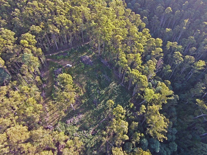 Lot 1 Lords Road, Pelverata TAS 7150