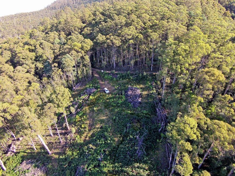 Lot 1 Lords Road, Pelverata TAS 7150