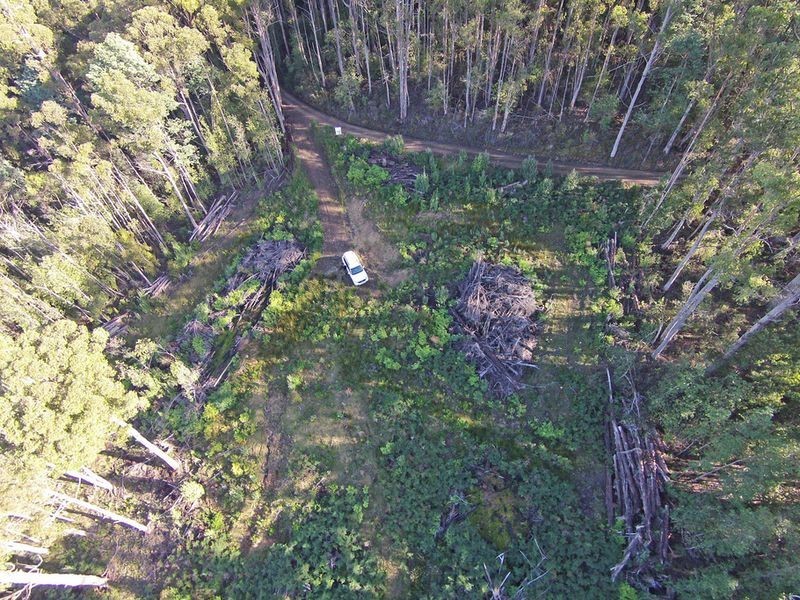 Lot 1 Lords Road, Pelverata TAS 7150