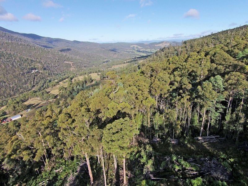 Lot 1 Lords Road, Pelverata TAS 7150