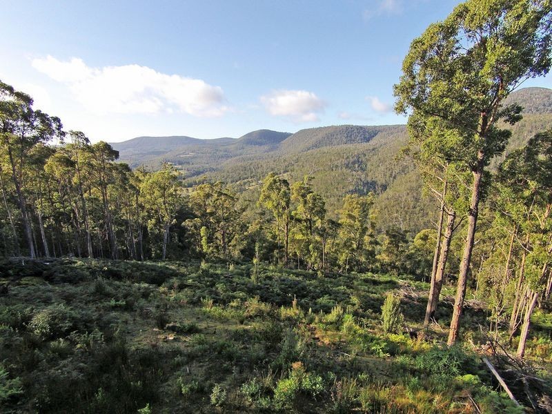 Lot 1 Lords Road, Pelverata TAS 7150