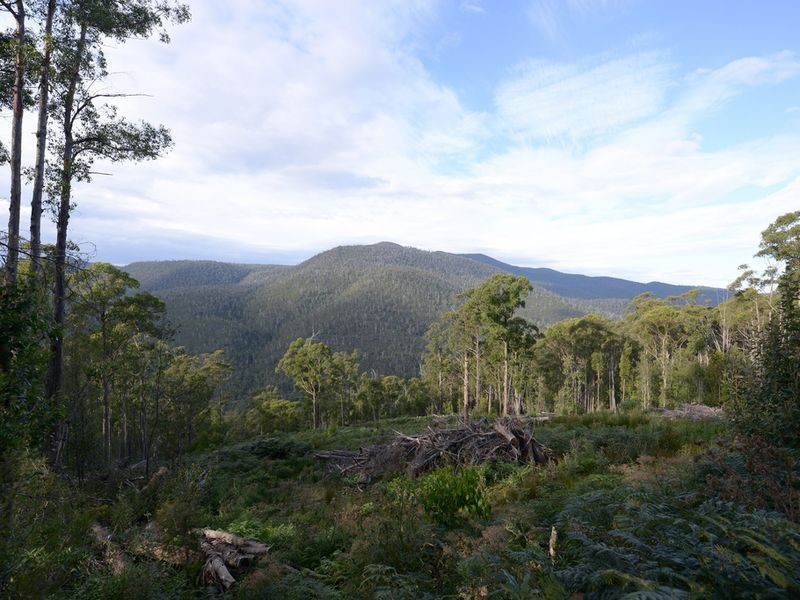 Lot 1 Lords Road, Pelverata TAS 7150