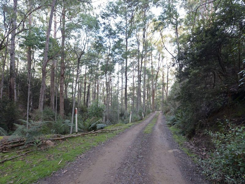 Lot 1 Lords Road, Pelverata TAS 7150