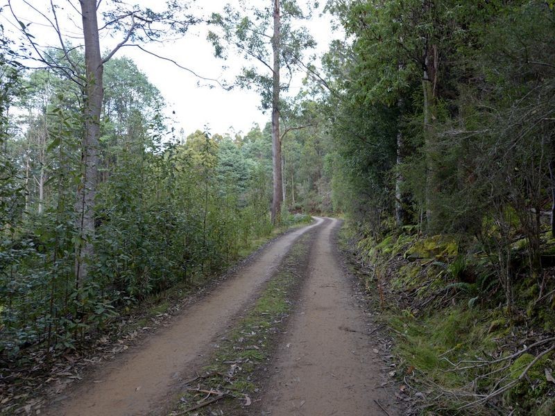 Lot 1 Lords Road, Pelverata TAS 7150