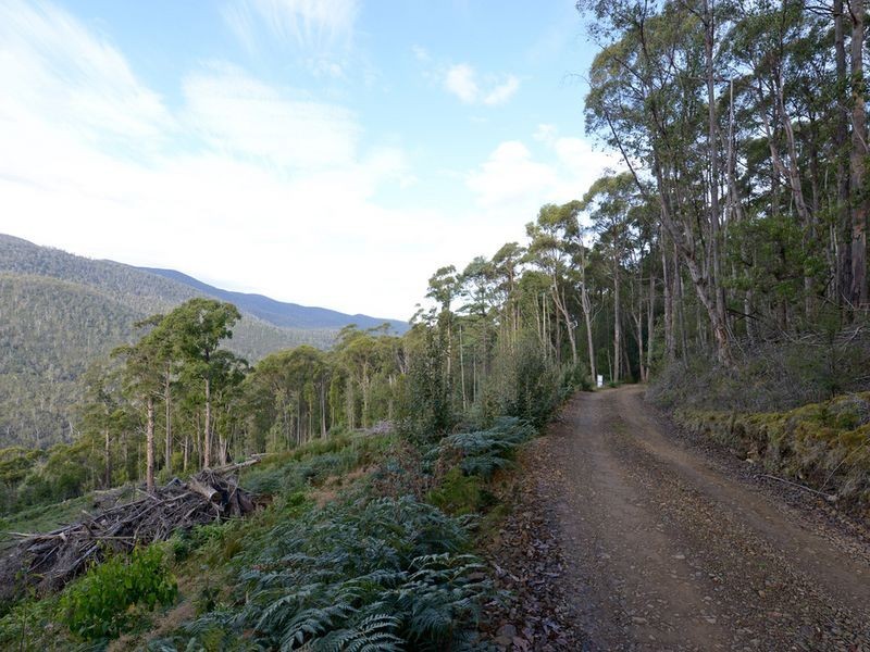 Lot 1 Lords Road, Pelverata TAS 7150