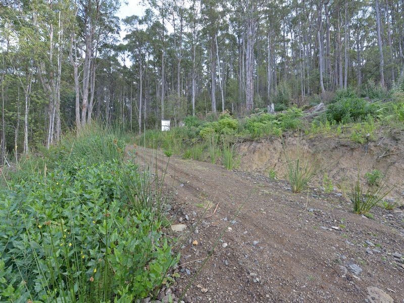Lot 1 Lords Road, Pelverata TAS 7150