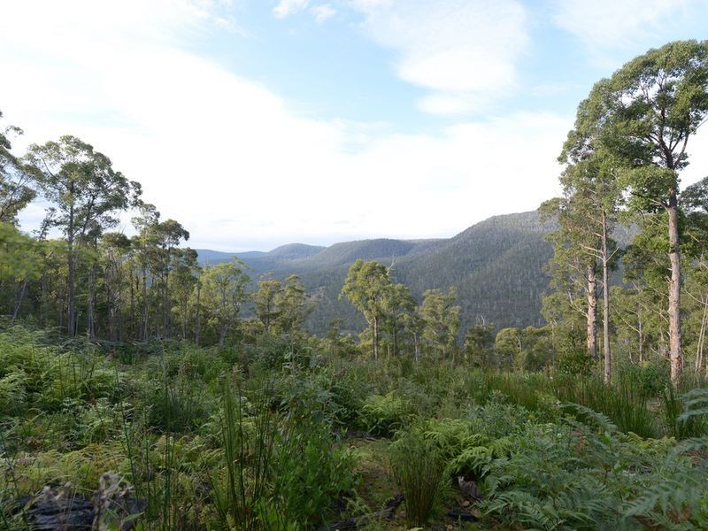 Lot 1 Lords Road, Pelverata TAS 7150