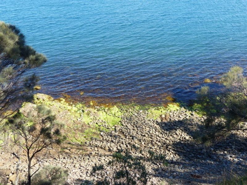33 Linden Road, Primrose Sands TAS 7173
