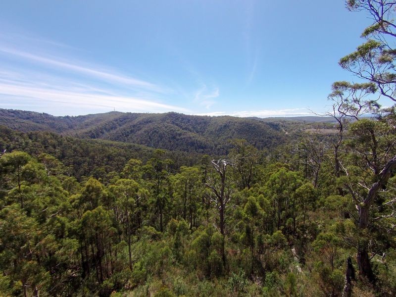 Morphetts Road, Neika TAS 7054