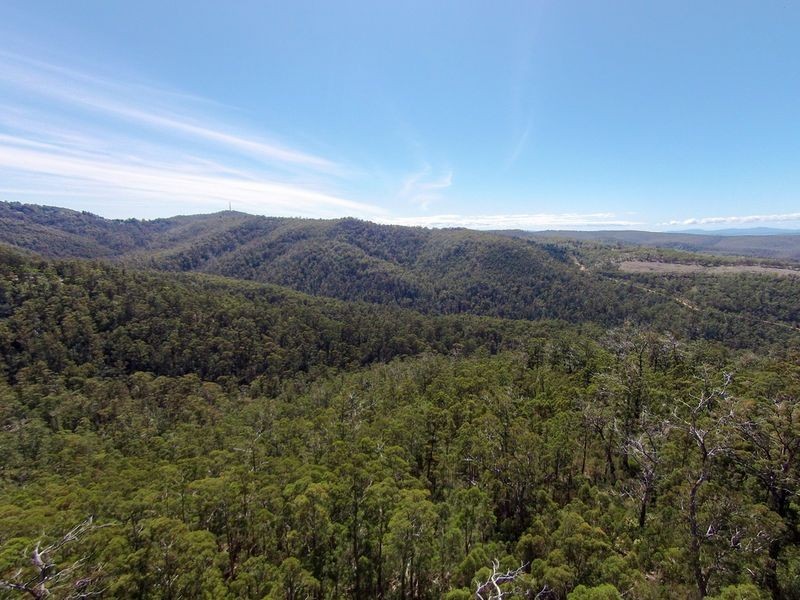 Morphetts Road, Neika TAS 7054
