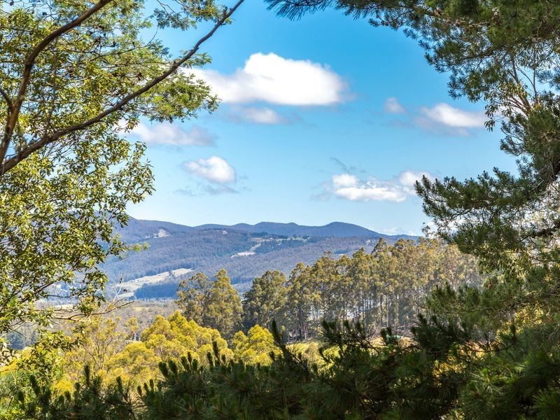 40 Wolfes Road, Neika TAS 7054