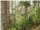 40 Wolfes Road, Neika TAS 7054