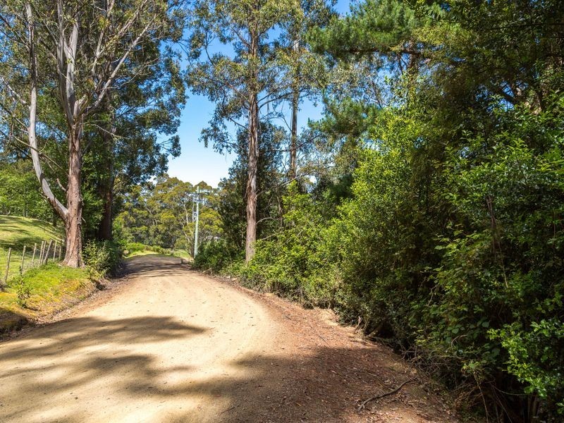 40 Wolfes Road, Neika TAS 7054