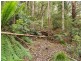 40 Wolfes Road, Neika TAS 7054