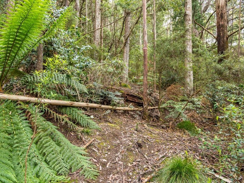 40 Wolfes Road, Neika TAS 7054