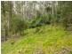 40 Wolfes Road, Neika TAS 7054