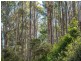 40 Wolfes Road, Neika TAS 7054
