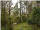 40 Wolfes Road, Neika TAS 7054