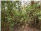 40 Wolfes Road, Neika TAS 7054