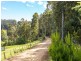 40 Wolfes Road, Neika TAS 7054