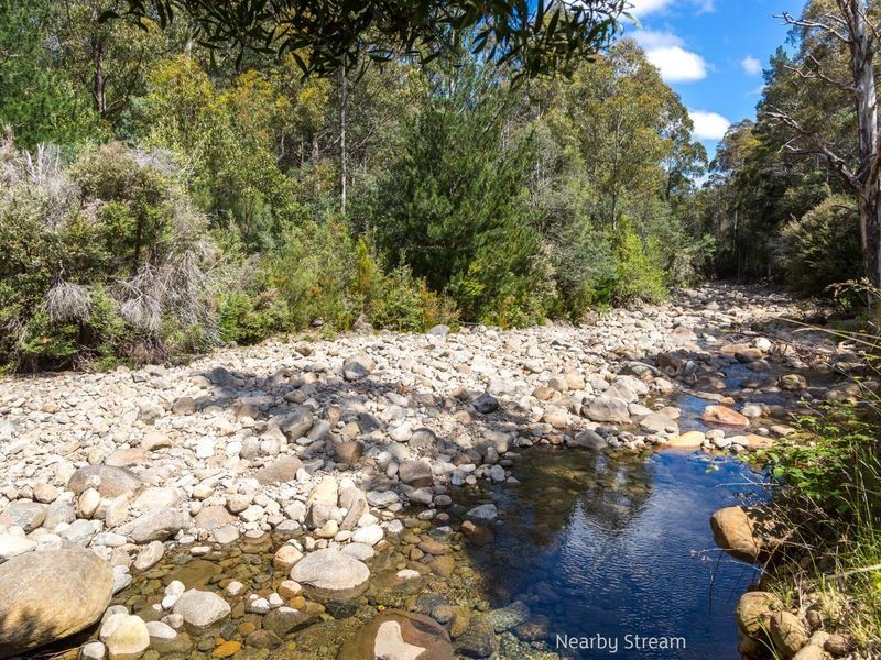 40 Wolfes Road, Neika TAS 7054