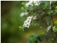 40 Wolfes Road, Neika TAS 7054