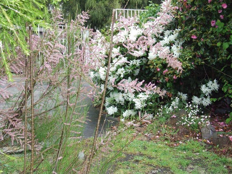 23 Lucas Street, Kingston TAS 7050