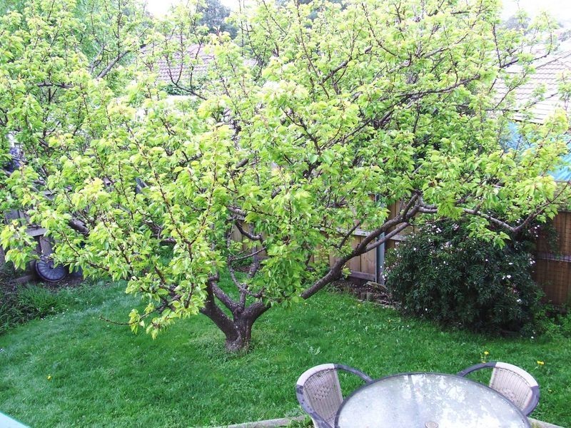 1/40 Cleburne Street, Kingston TAS 7050