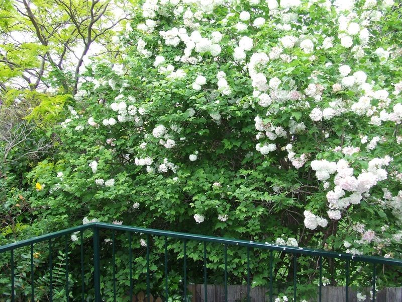 1/40 Cleburne Street, Kingston TAS 7050