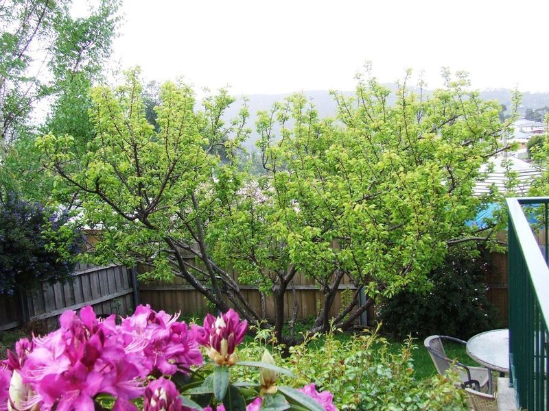 1/40 Cleburne Street, Kingston TAS 7050