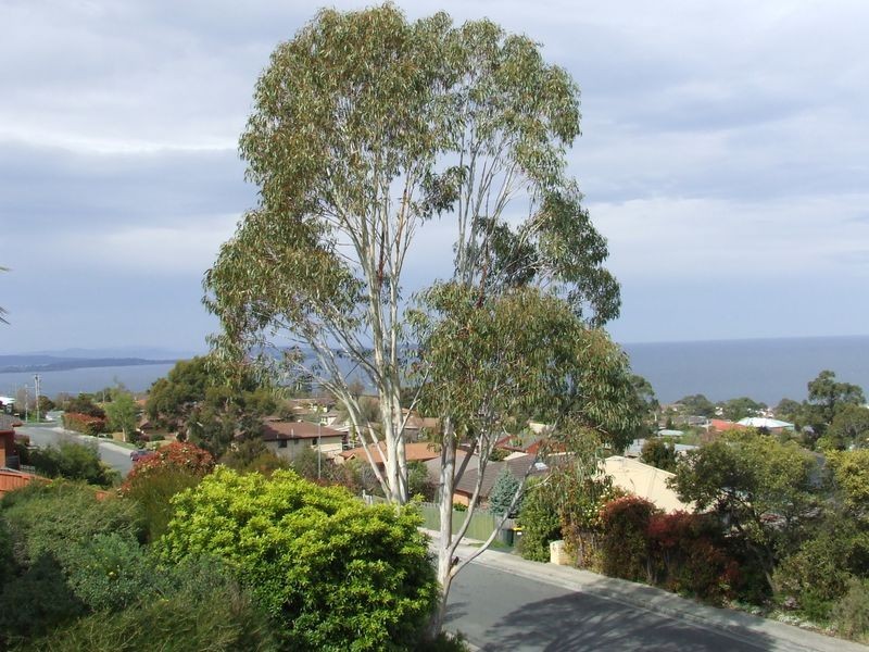 15 Stirling Avenue, Blackmans Bay TAS 7052