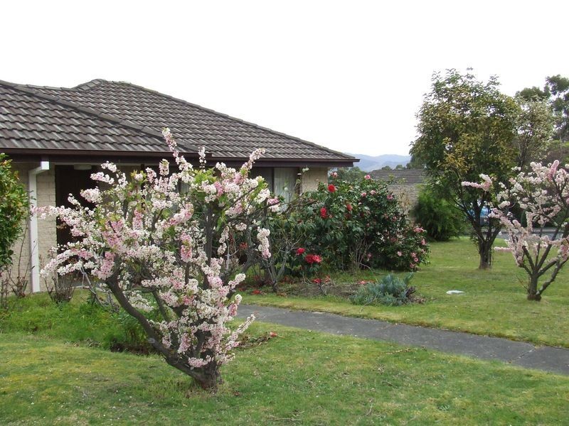 37 Ash Drive, Kingston TAS 7050