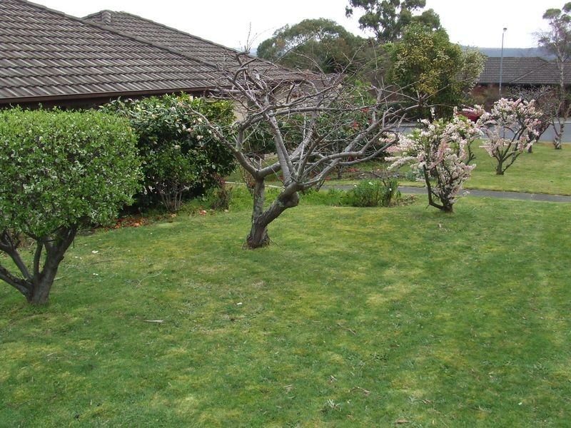 37 Ash Drive, Kingston TAS 7050