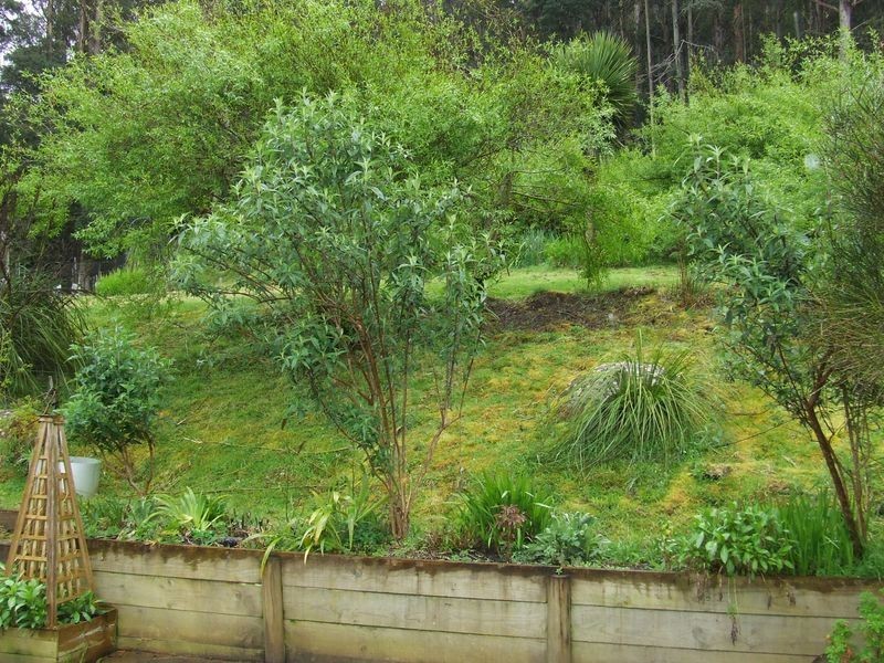 427 Summerleas Road, Kingston TAS 7050