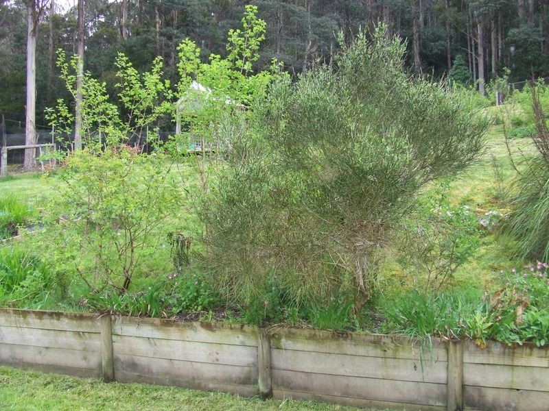 427 Summerleas Road, Kingston TAS 7050